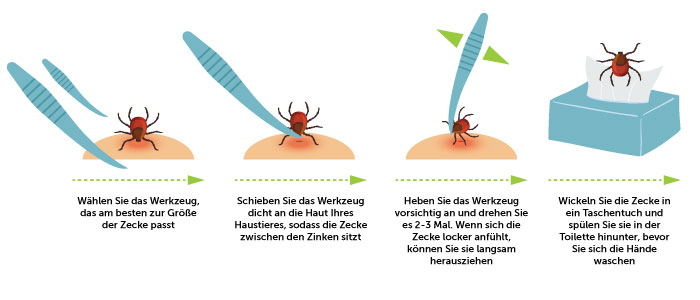 #### Übersetzung Ein Leitfaden zum Entfernen einer Zecke mit einem Werkzeug Fertig! Lassen Sie mich wissen, wenn ich noch etwas für Sie tun kann.