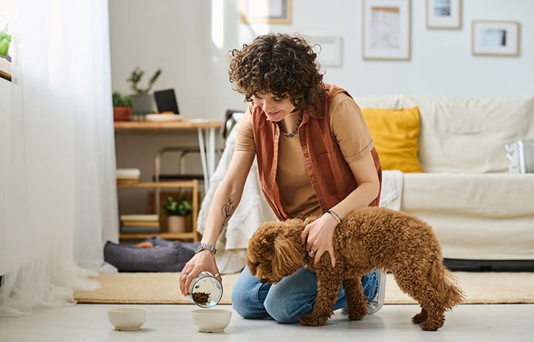 Woman feeds brown puppy at home