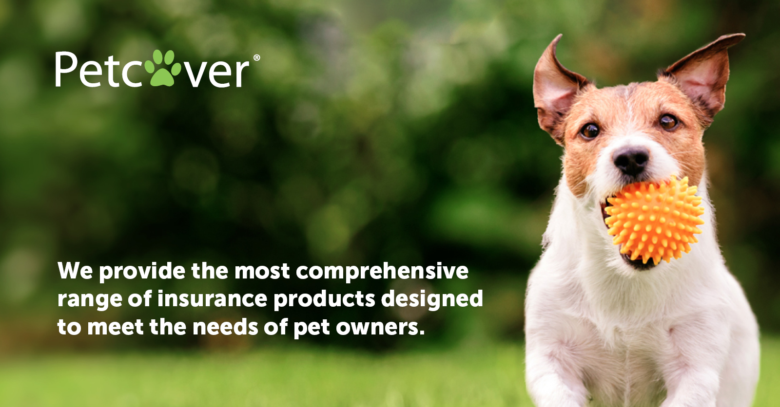 Petcover FAQs | Petcover Pet Insurance Australia