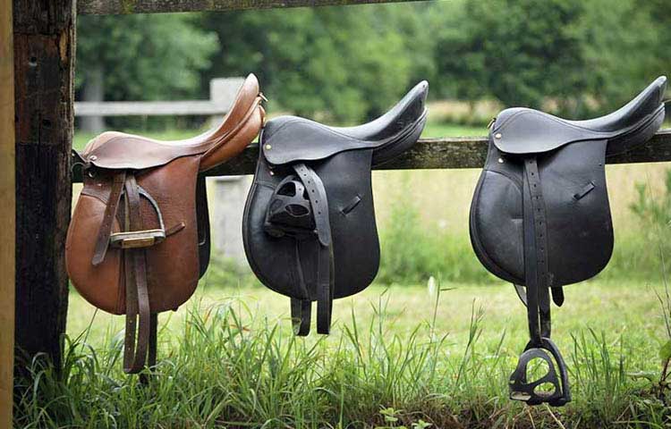 image of three horse saddles sitting on a wooden ledge