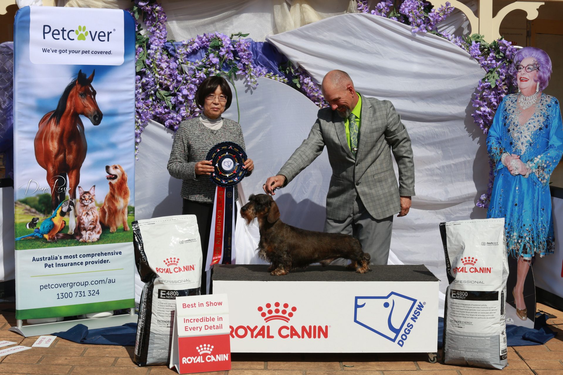 DOGS NSW Spring Fair 2022 Petcover AU