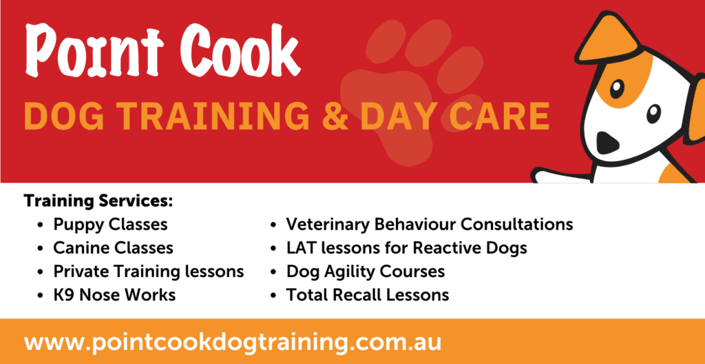 Point Cook Dog Training & Day Care Services