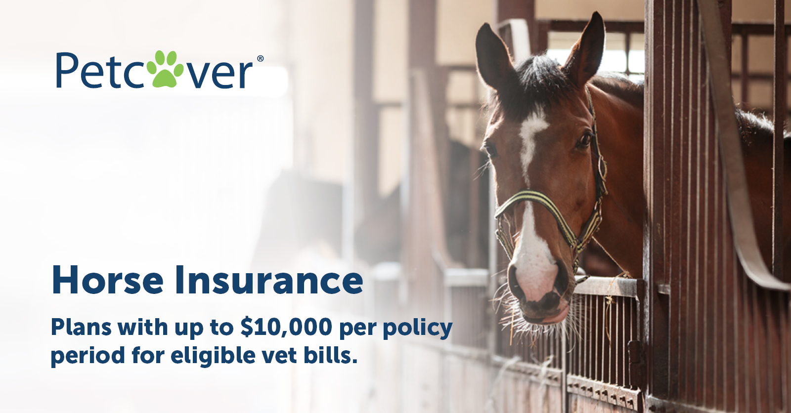 Horse & Equestrian Insurance from Petcover Germany