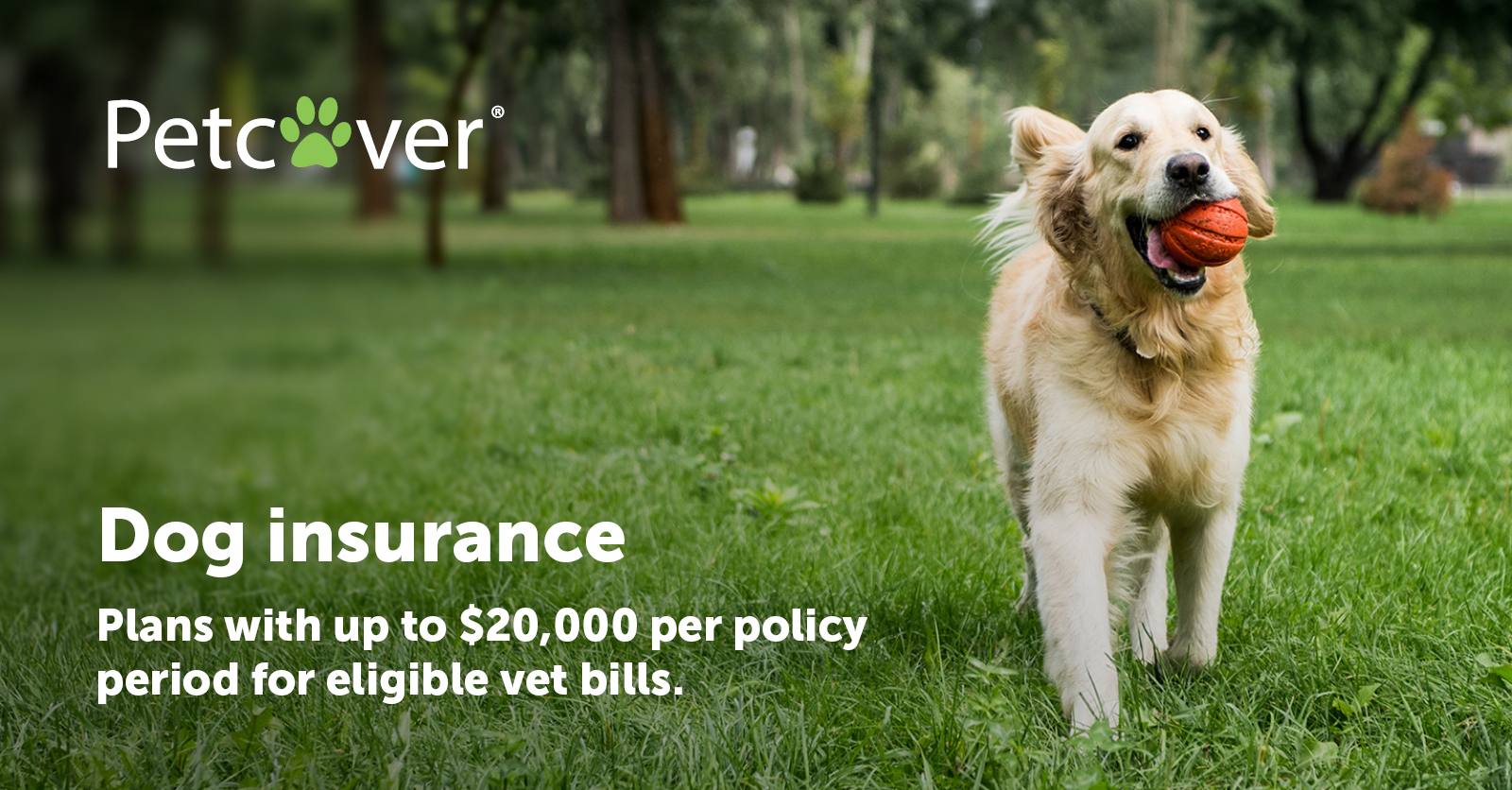 what should dog insurance cover